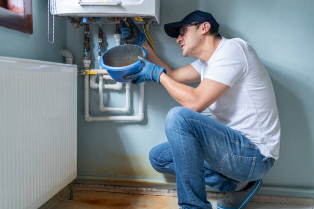 Best Plumbing Inspections & Maintenance in Watseka, IL